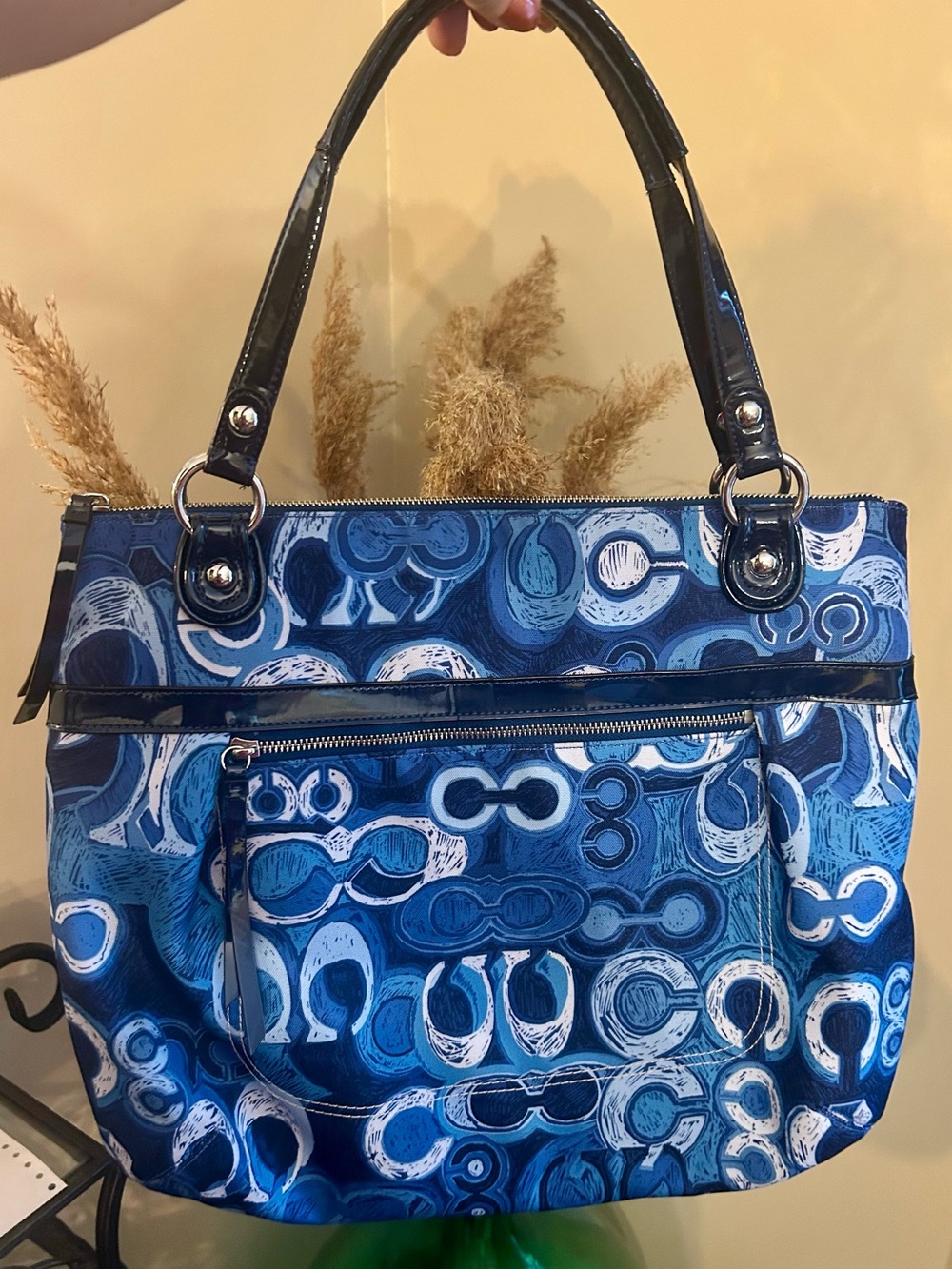 Coach Poppy Glam Tote